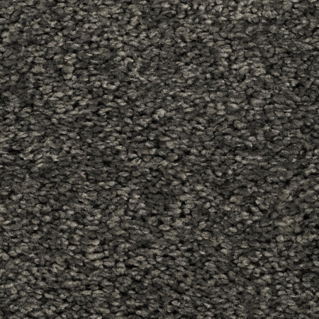 Frisé - Manduro - 003